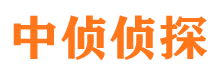 肇源市调查公司